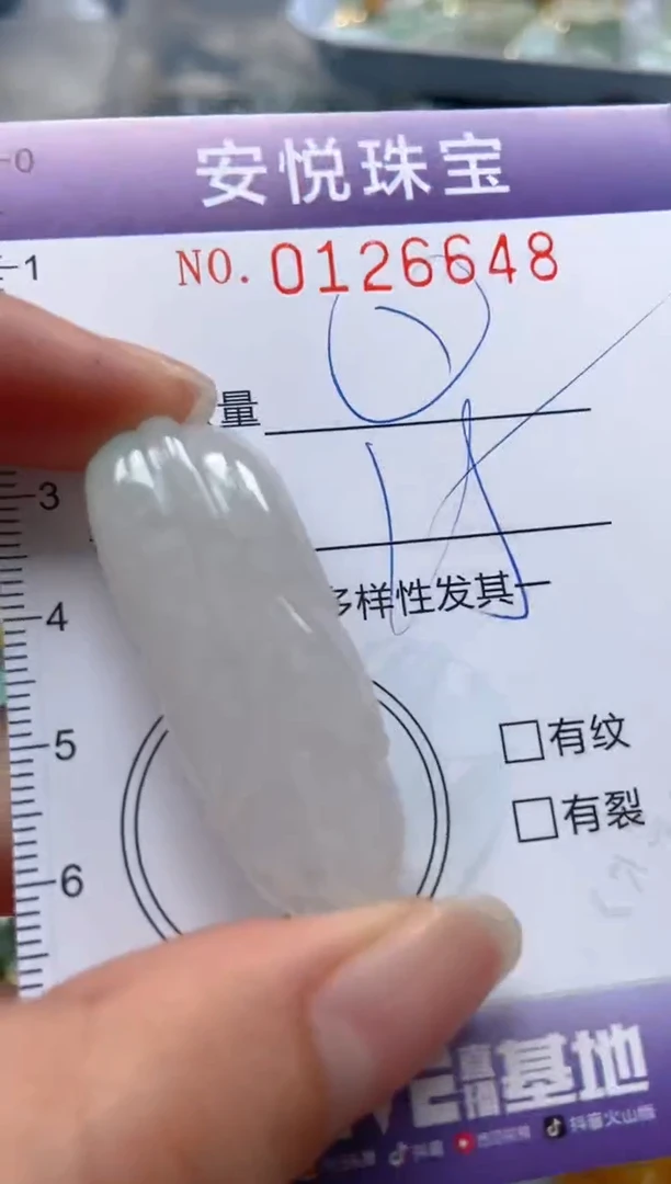 【闪购商品】翡翠颈饰未镶嵌闪购0126648
