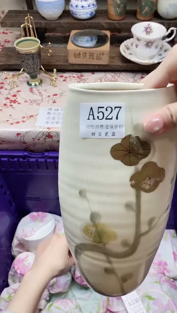 瓷片逸***.      A527