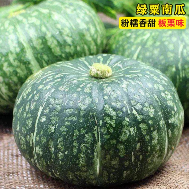 【全店满5包包邮】绿甜板栗南瓜种子日本甜蜜南瓜种籽粉面小贝贝