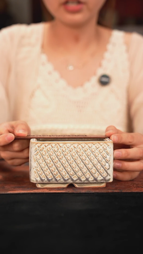 6-18-251花盆口径10