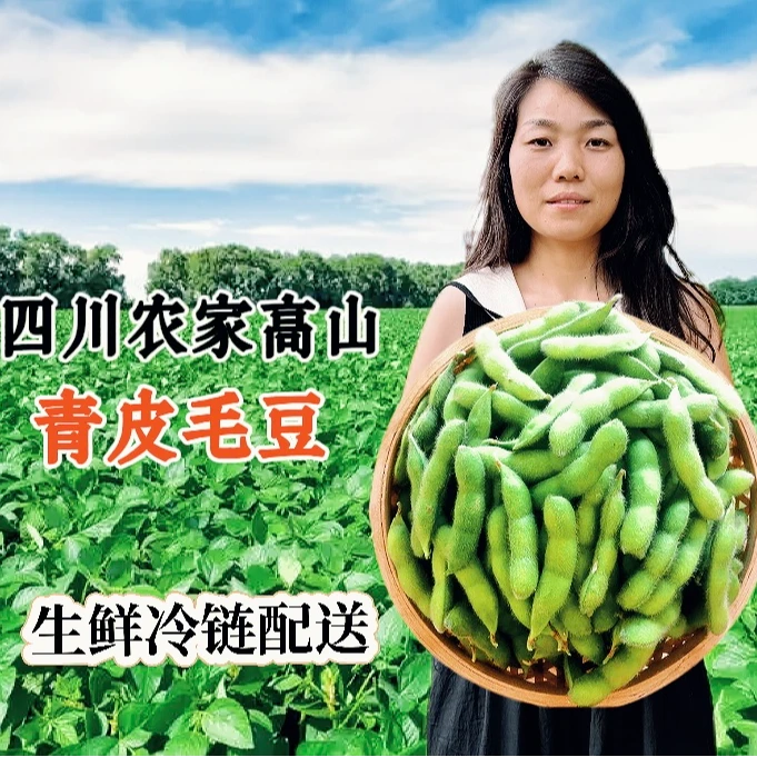 四川高山农家时令蔬菜新鲜青毛豆现摘带壳冷链包邮