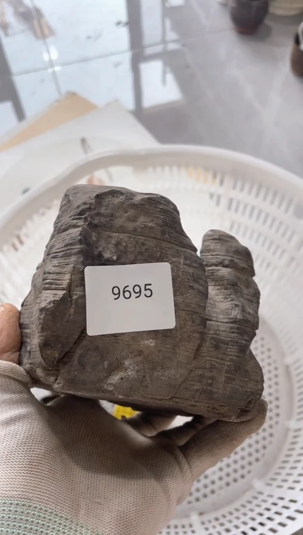 器山****宿55667788202506139695