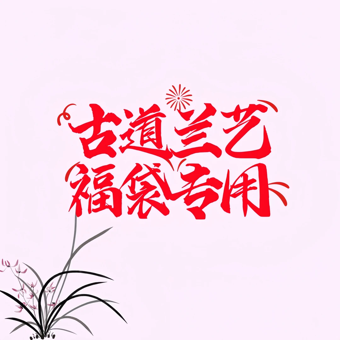 【福袋链接】古道兰艺高山国兰 易养活无温室阳台养兰