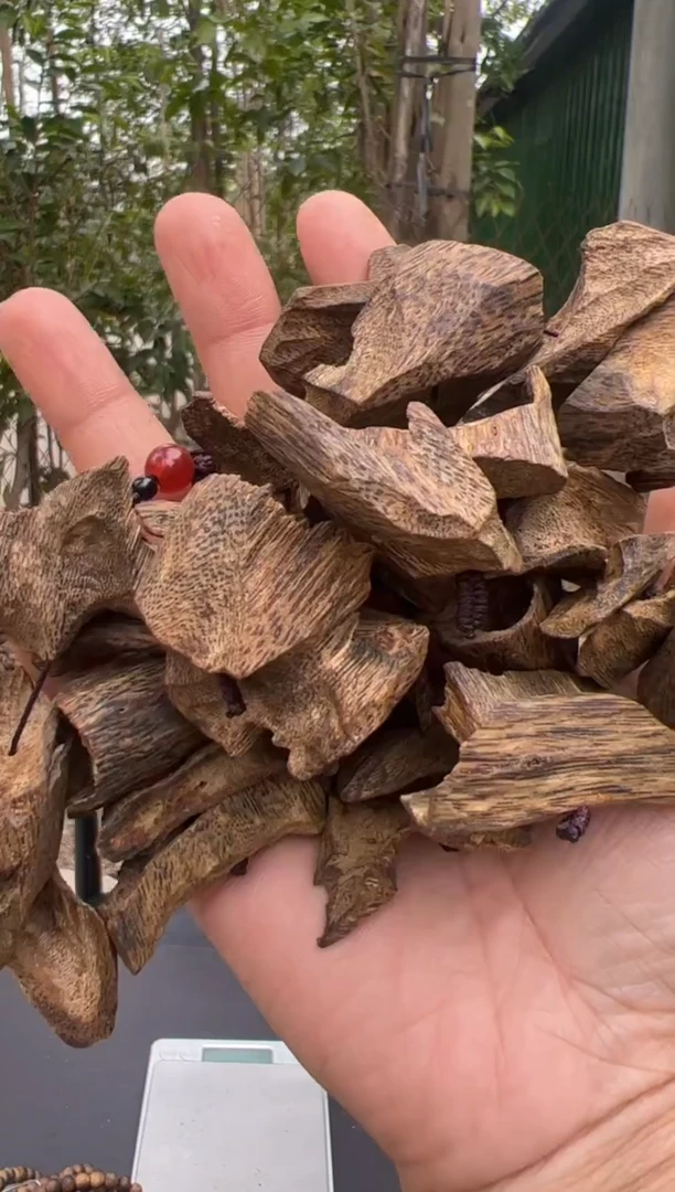 【闪购商品】沉香沉香木制品乌身圆叶原料车挂多样性发货1条