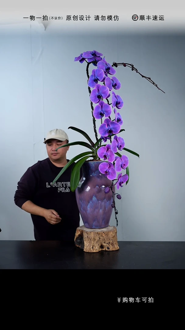 【闪购商品】【一物一拍】艺术盆景