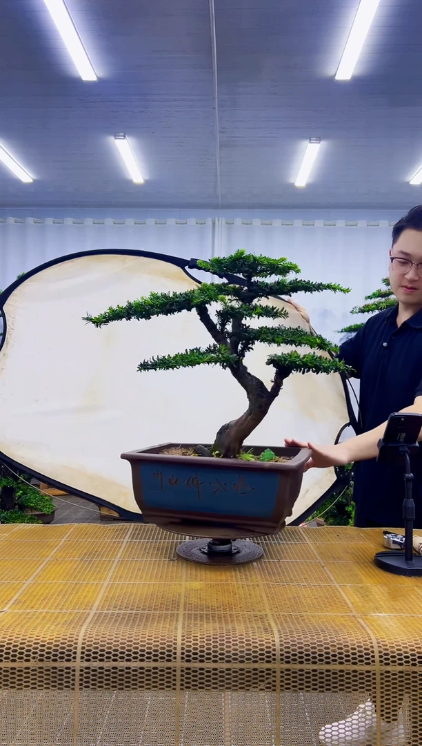 地***柿0000000000000000000