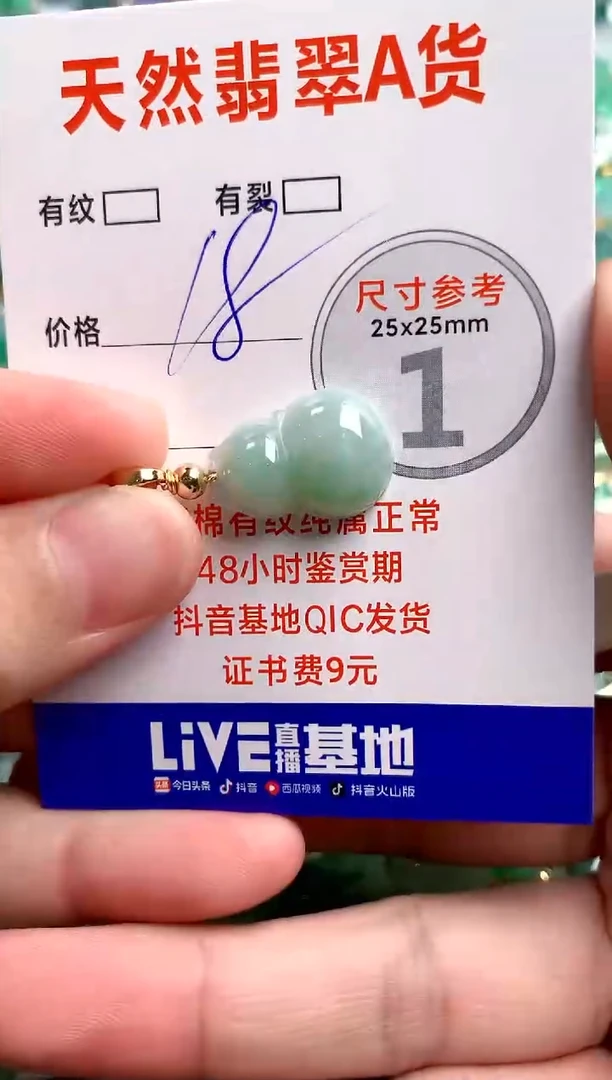 颈饰未镶嵌翡翠25100987