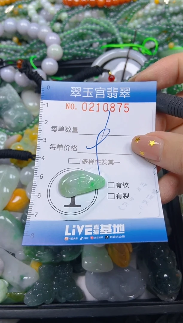 颈饰未镶嵌翡翠闪购C0210875