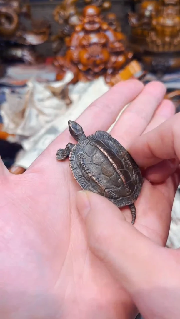 d瑞哥专属高端精品6