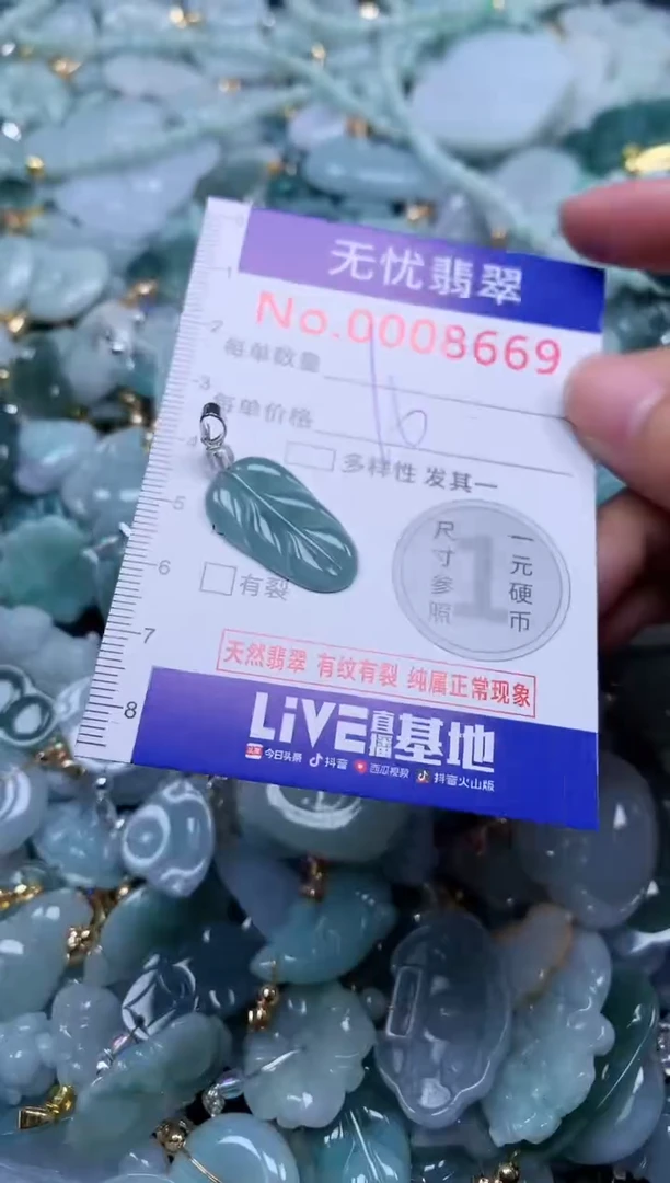 颈饰未镶嵌翡翠8669