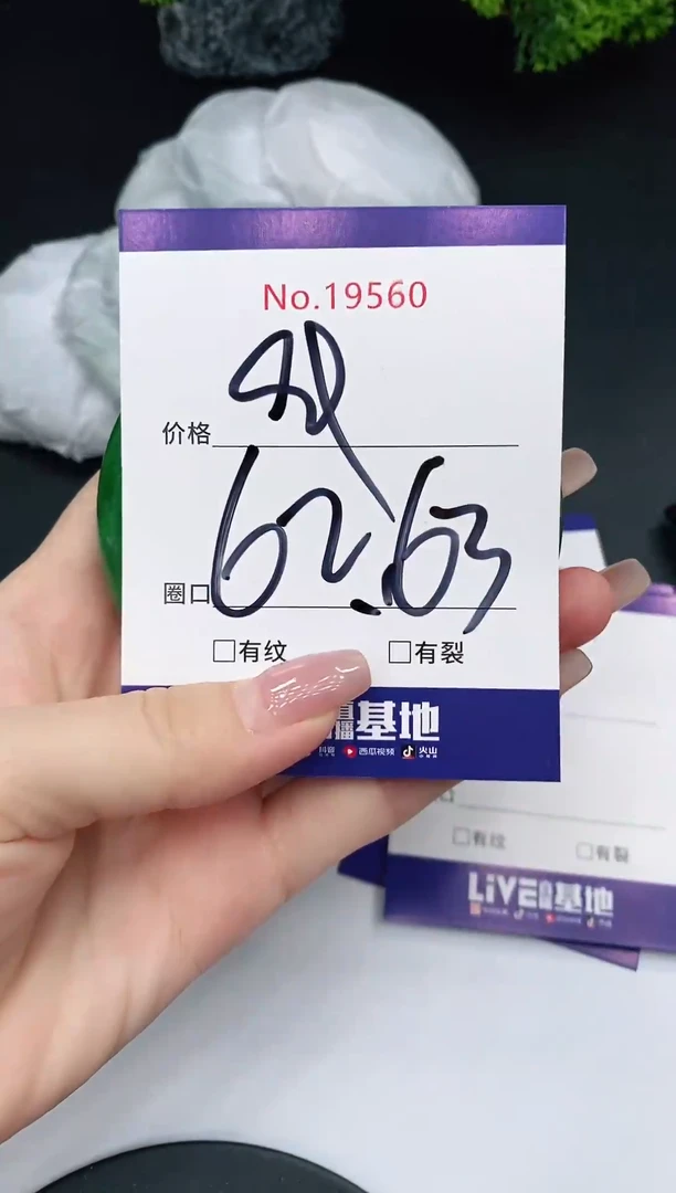 未镶嵌手镯翡翠19560