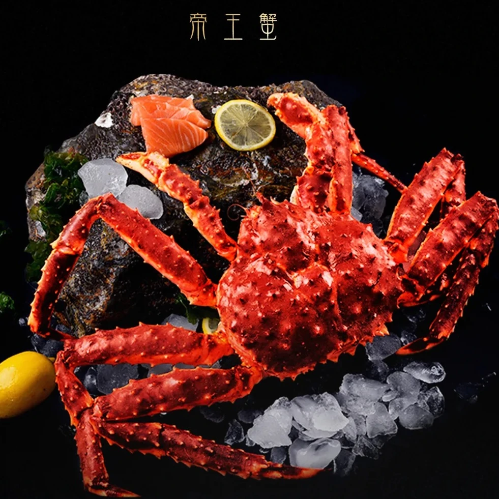 鲜活帝王蟹 进口生猛海鲜（规格可选）