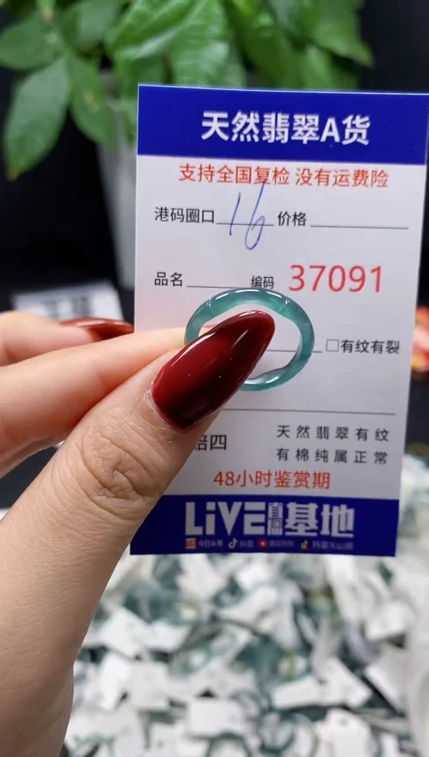 翡翠戒指未镶嵌 天然翡翠戒圈7091