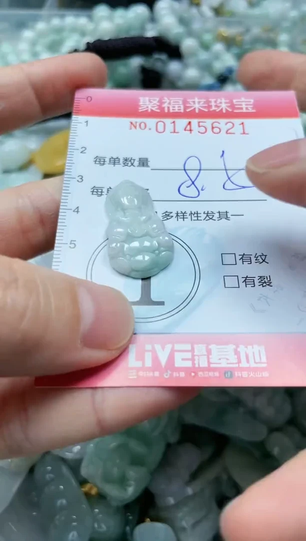 【闪购商品】翡翠未镶嵌颈饰闪购0145621