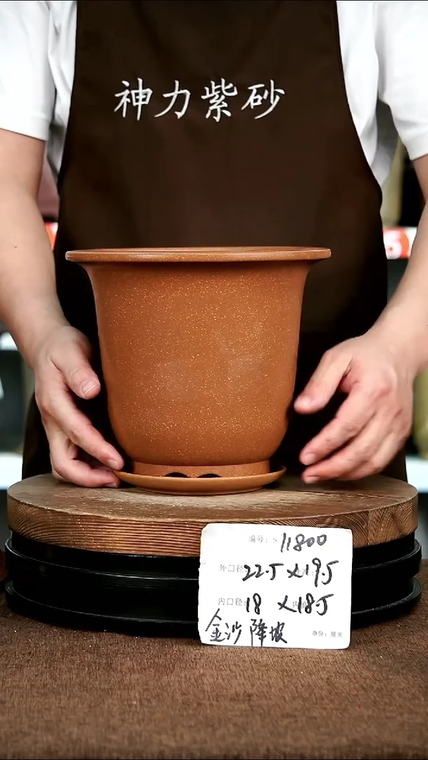 紫砂花盆花卉园艺11800+Z