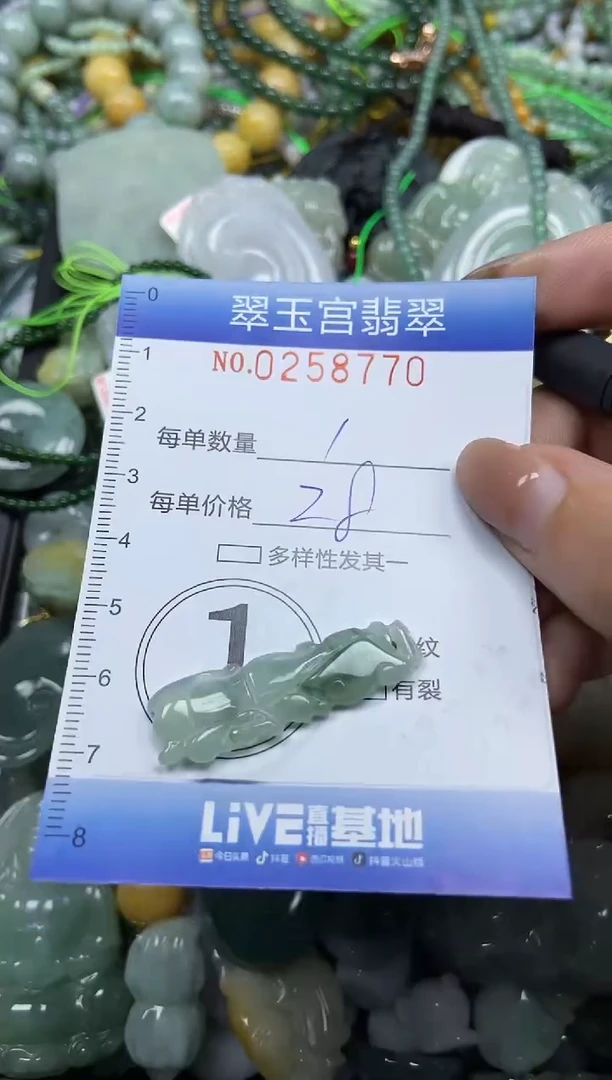颈饰未镶嵌翡翠闪购C0258770