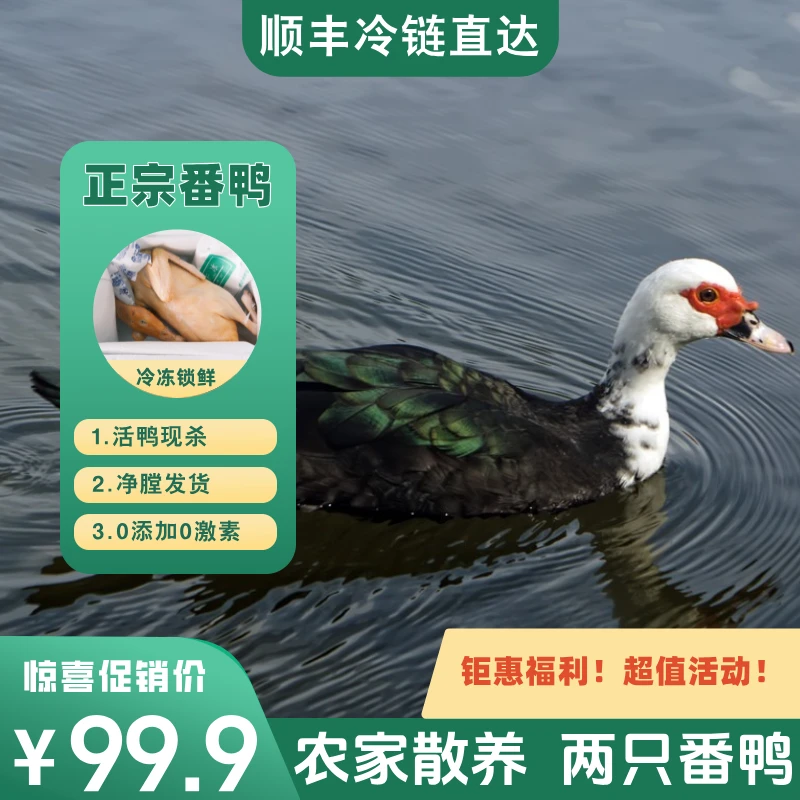【到手两只】到手2只番鸭 山塘放养 宰杀后净膛净重9-10斤  青年鸭无瘤  顺丰冷链包邮 净膛发货