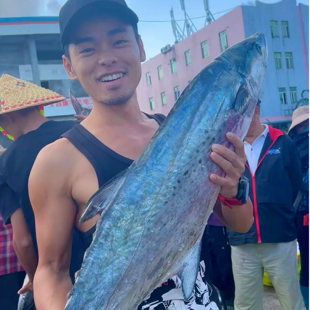 海南文昌七洲列岛斑点马鲛鱼（扁胶）海鲜顺丰快递