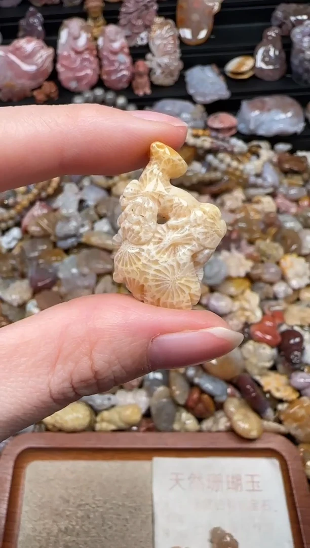 颈饰未镶嵌硅化珊瑚（珊瑚玉）718