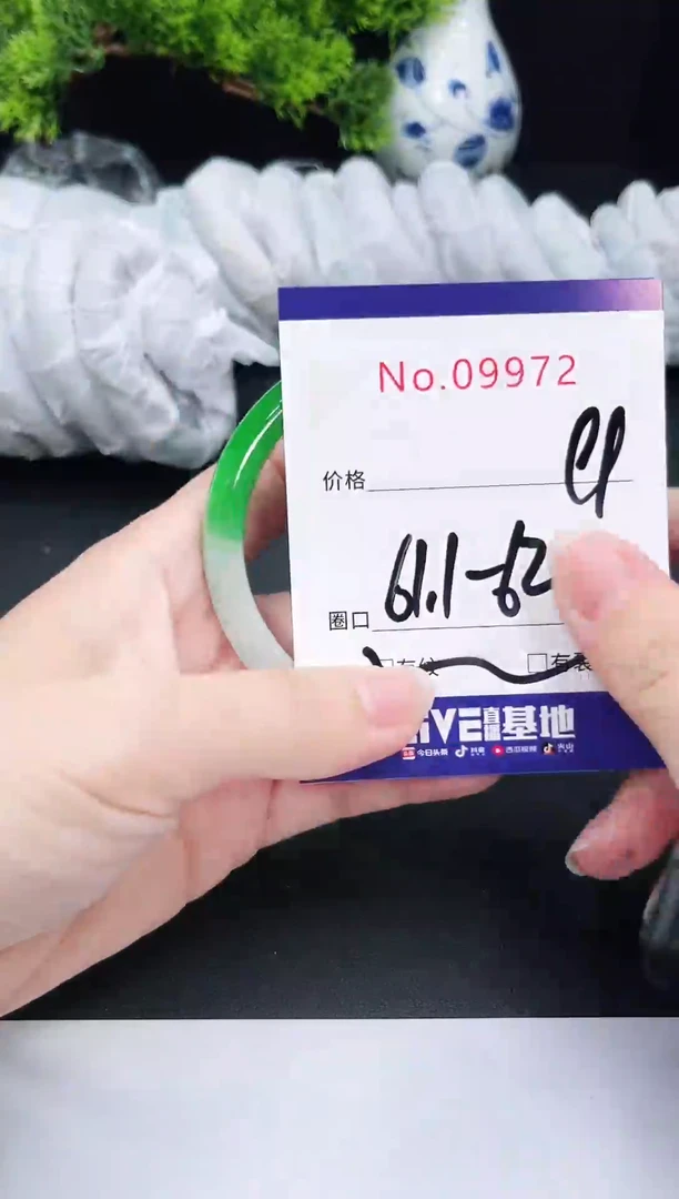 未镶嵌手镯翡翠9972