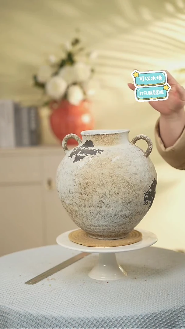 双耳景德镇高端陶瓷花瓶家居水培插花瓶