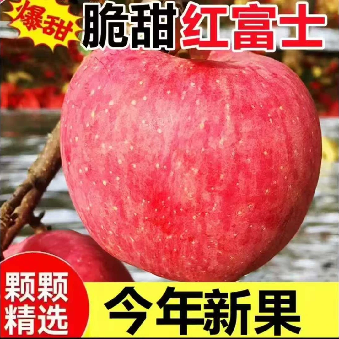 【坏果包赔】2025头茬正宗红富士苹果辽宁产地当季新鲜水果