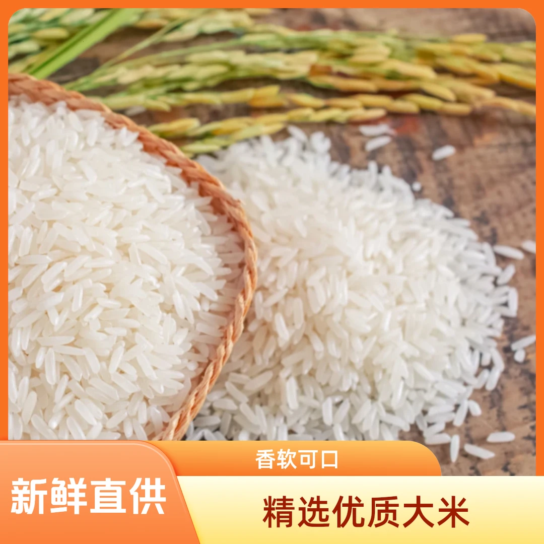 正宗贵州梯田大米新鲜Q弹适合炒饭煲仔饭的优质大米