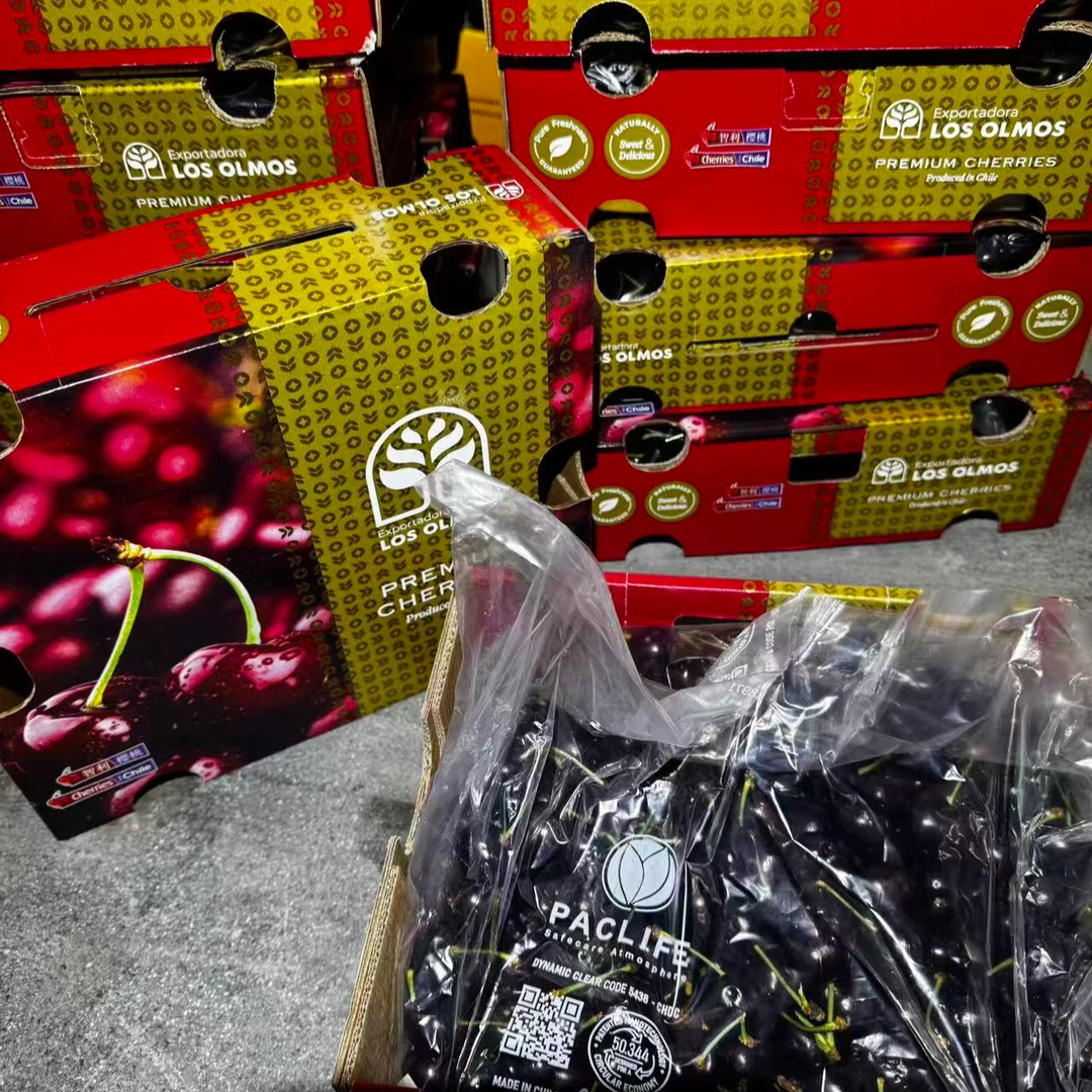 ARYANA阿雅娜海运车厘子JJ/5斤 内附果径卡“顺丰包邮”