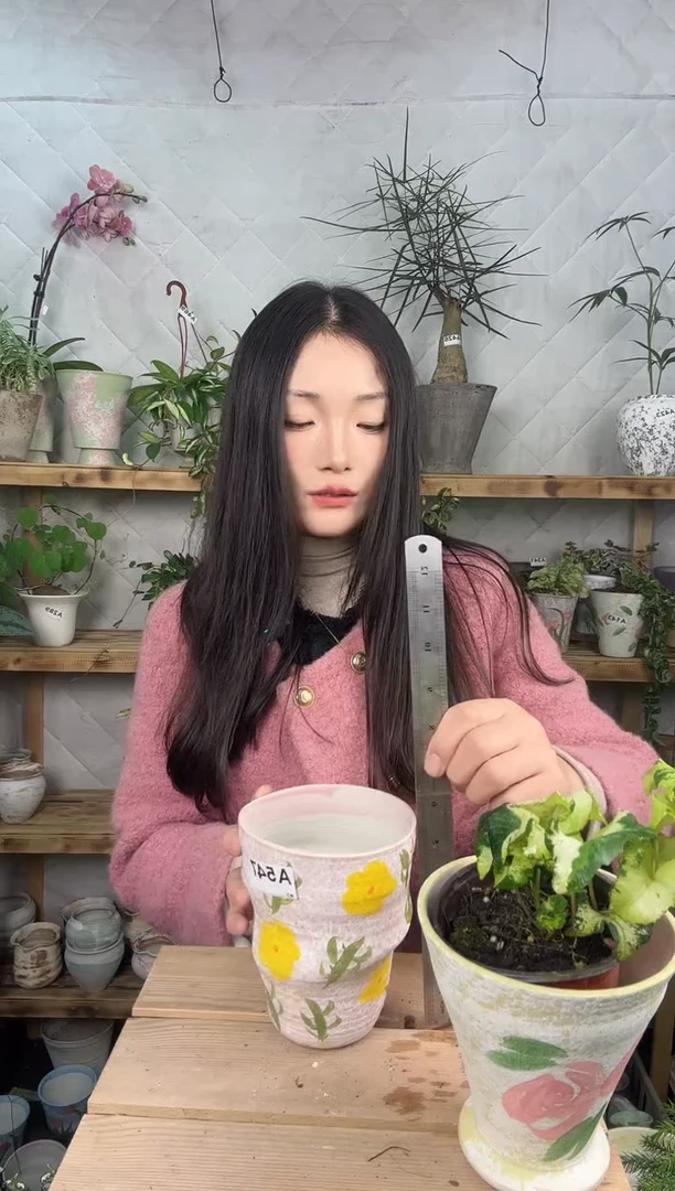 无花朵编号  547景德镇手绘花盆口   11高14