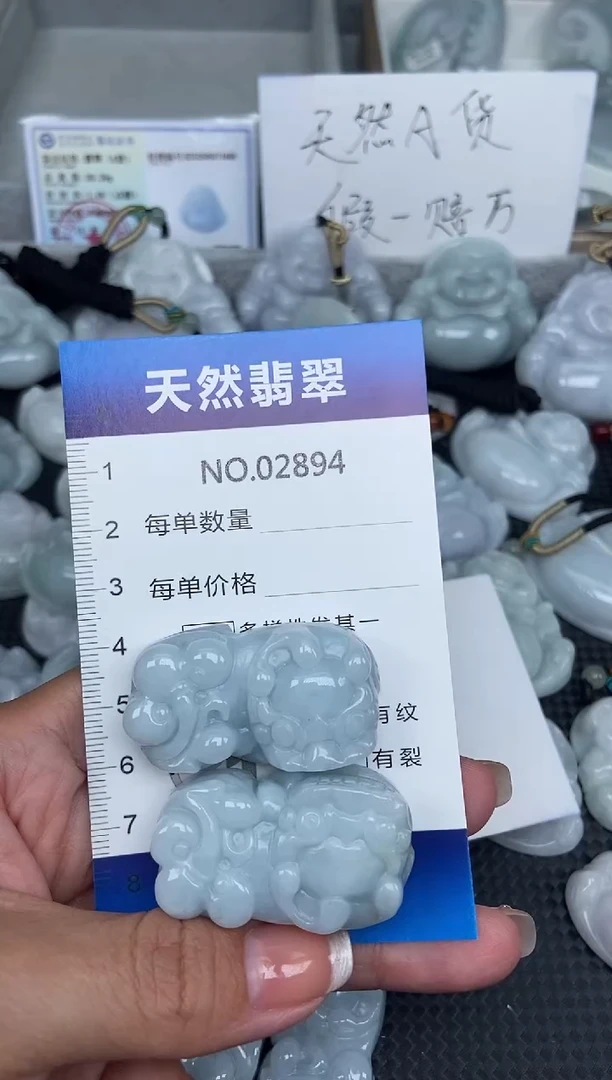 颈饰未镶嵌翡翠纯天然A货翡翠2894
