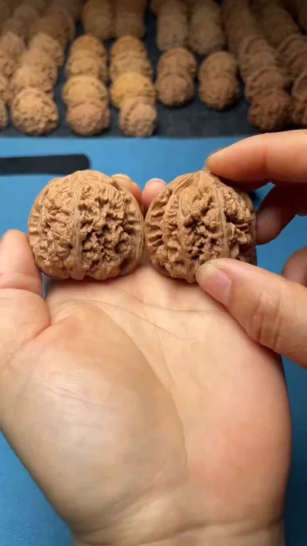 文玩核桃把件w18 大粗筋  42尺