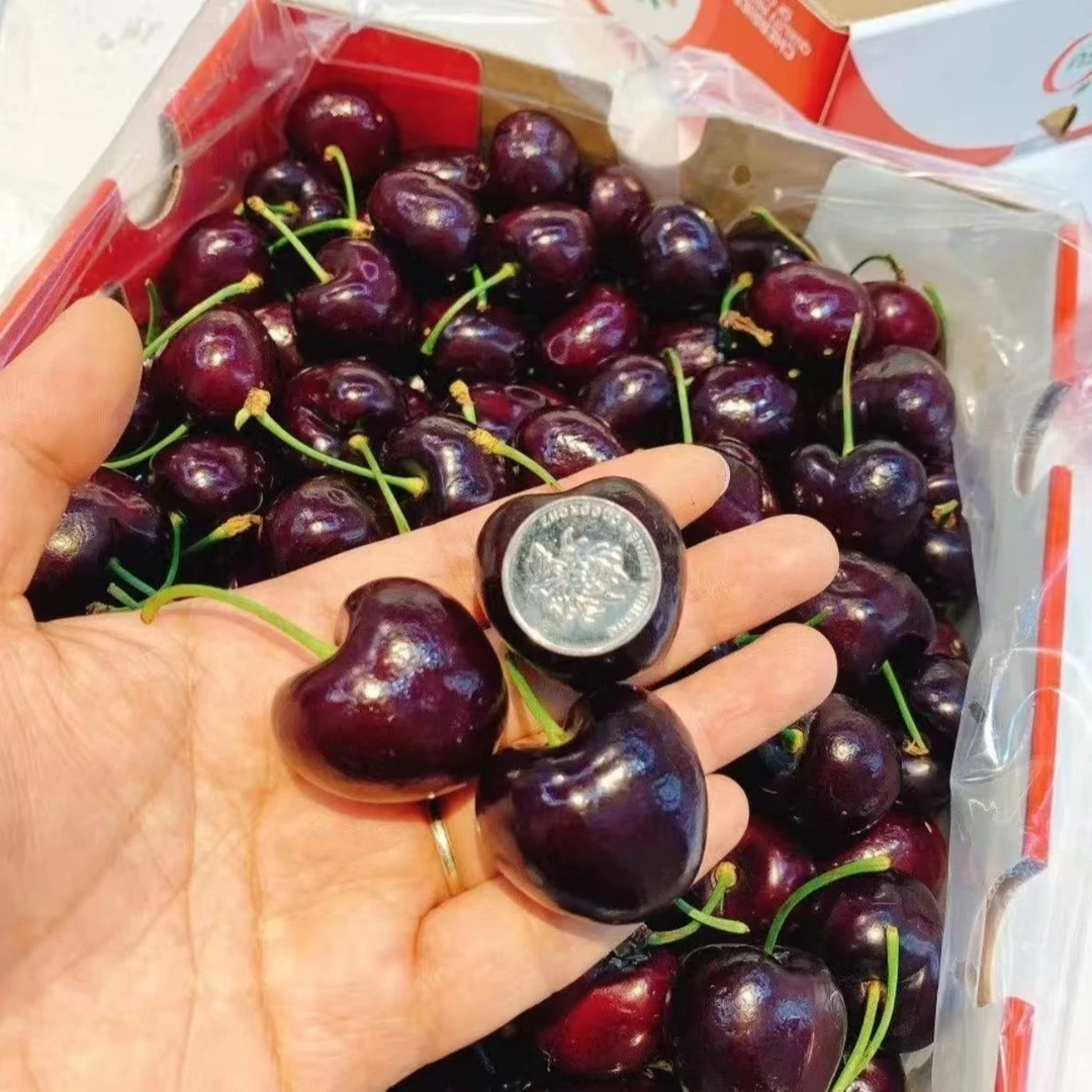 F【5斤原箱】智利进口桑提娜海运车厘子内附果径卡顺丰京东4J黑车