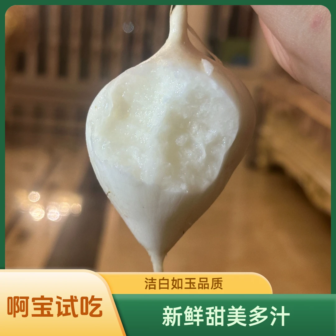 【顺丰包邮】云南高山黄沙土种植地萝卜地瓜凉薯脆甜多汁当季水果