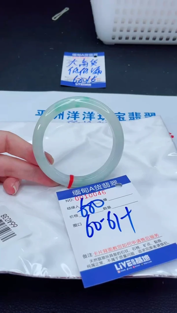 未镶嵌手镯翡翠我2