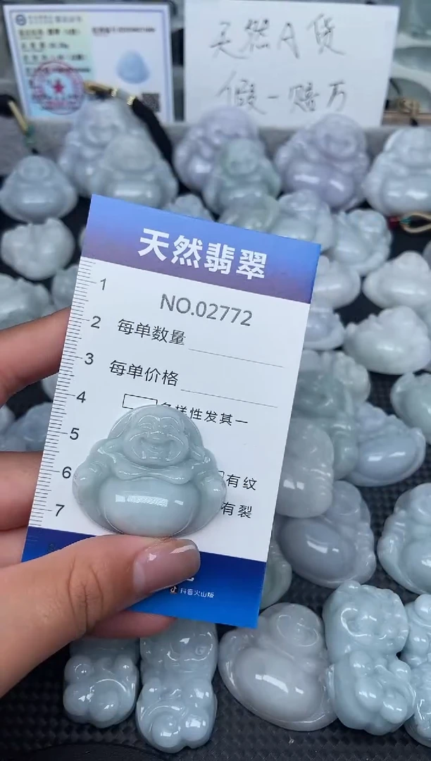 颈饰未镶嵌翡翠纯天然A货翡翠2772