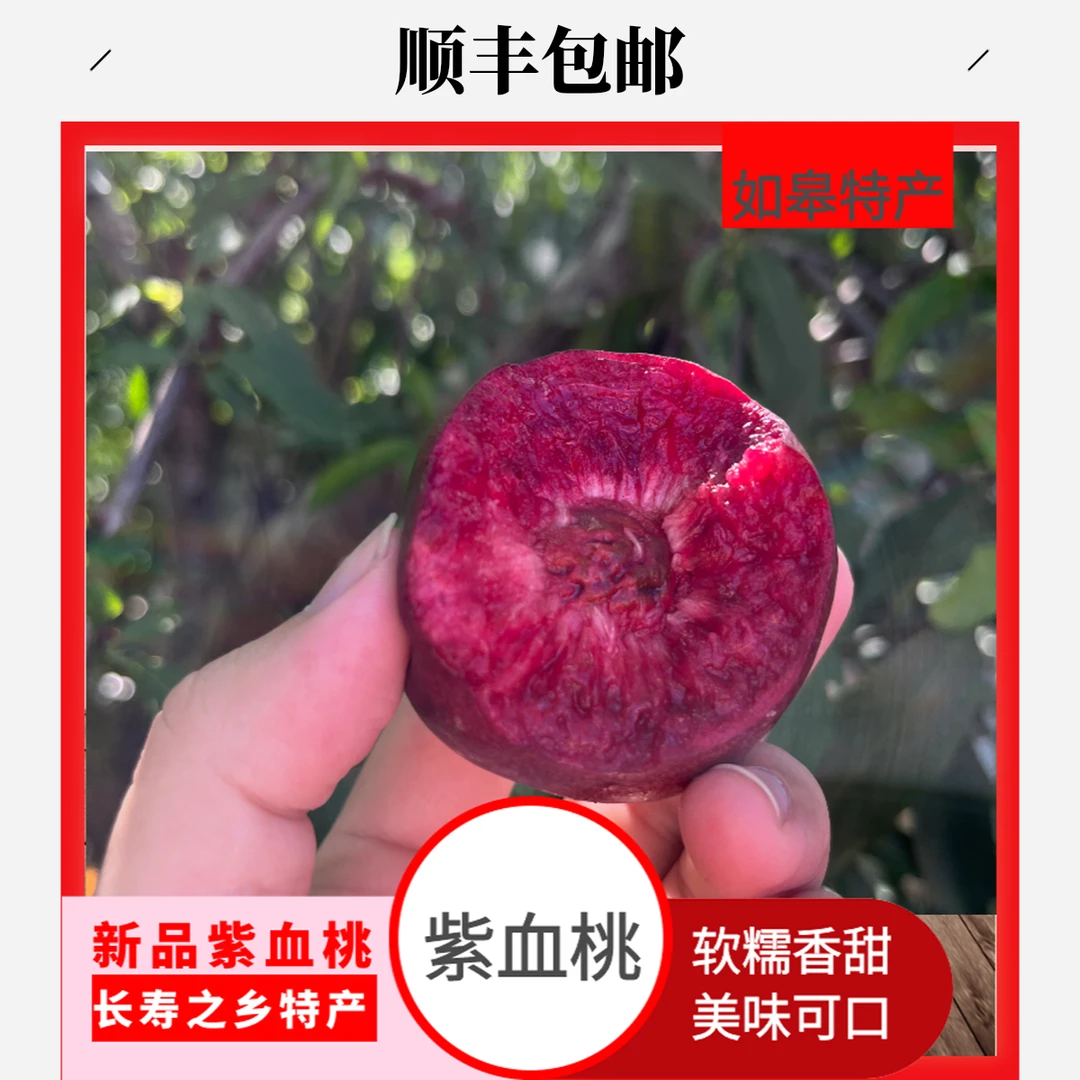 顺丰包邮如皋高端甄选富硒紫桃新鲜正宗特产桃子多汁江浙沪皖