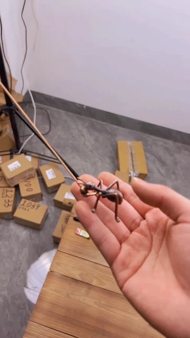 【闪购商品】蚂蚁###########///