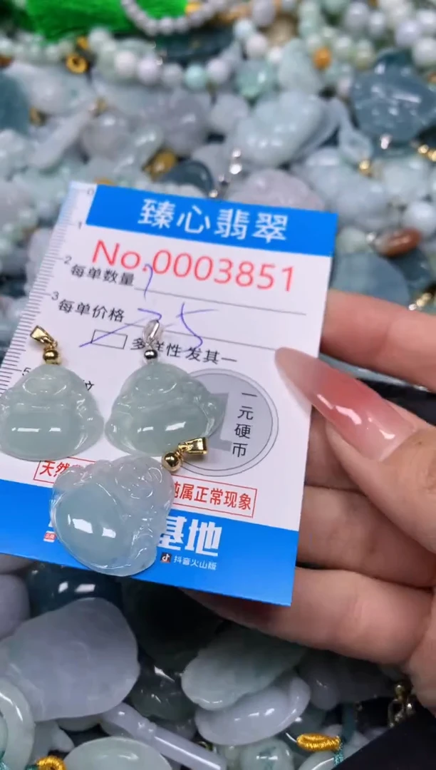 【闪购商品】翡翠颈饰未镶嵌含绳0003851