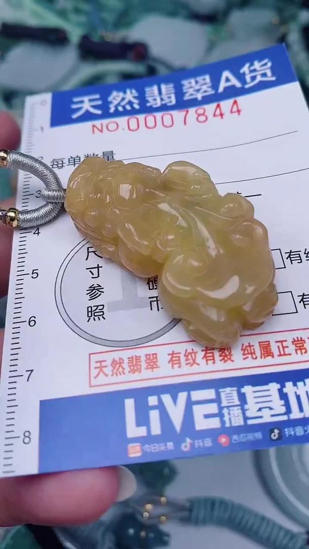 翡翠未镶嵌颈饰00007844