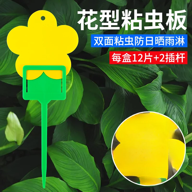 【小黄板粘虫板】小黑飞粘板双面飞虫诱虫器沾虫纸家用果蝇诱捕器