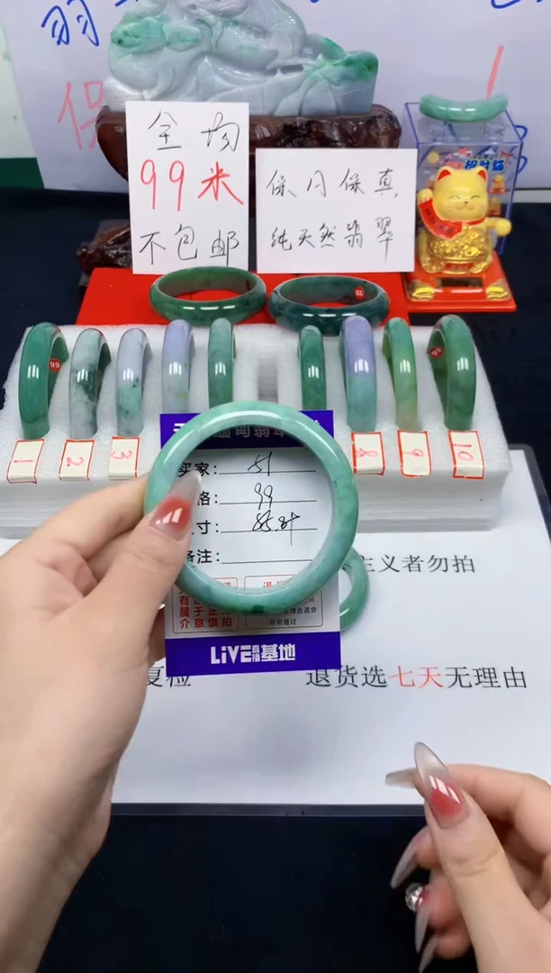 未镶嵌手镯翡翠51