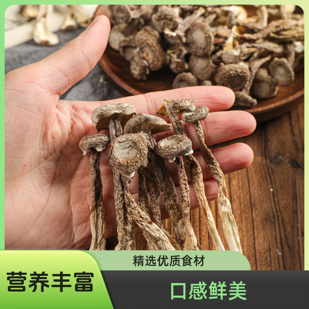 （发4包）古田鹿茸菇干货不熏原干煲汤爆炒干锅家庭囤货可试吃一包