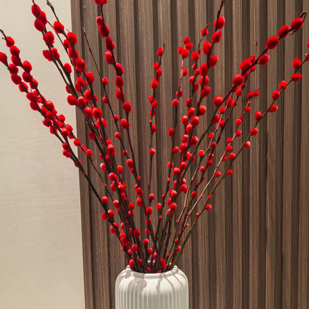 【红色银柳30支】花期久年宵花云南鲜花 全店任意两件包邮送货上门