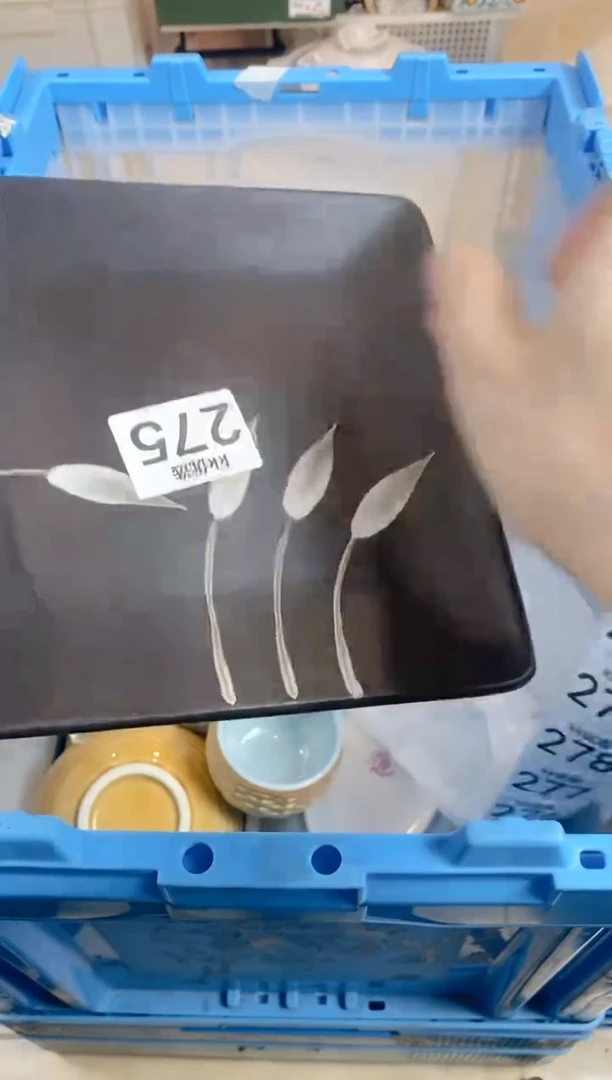 【闪购商品】瓷片275定向 阿萍定向 阿萍定向 阿萍