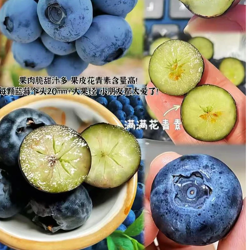 [整果】蓝莓（L25号）15mm 59.9元/斤云南省