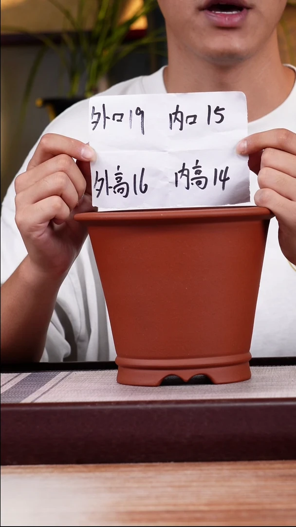 紫砂花盆清水泥圆斗笠一只带托
