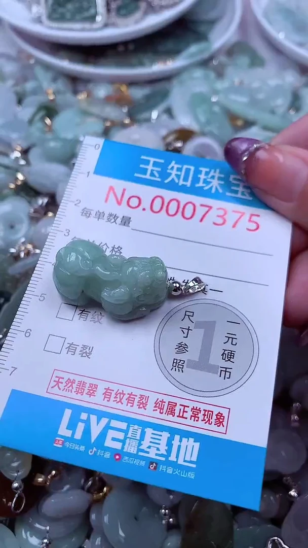 翡翠未镶嵌吊坠(不含链)7375