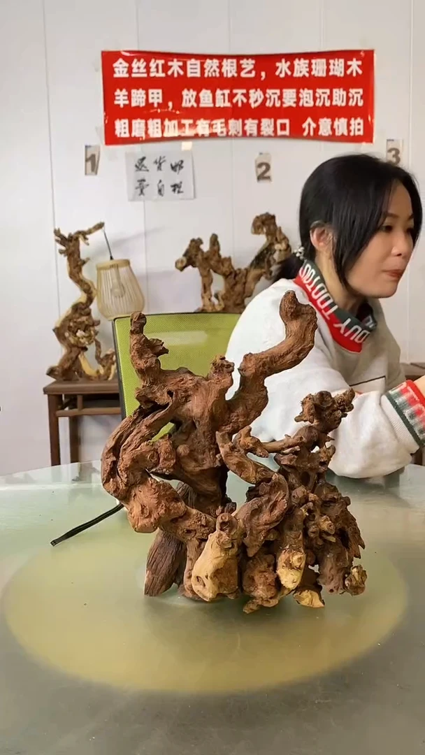 木新****馆金丝红木 羊蹄甲