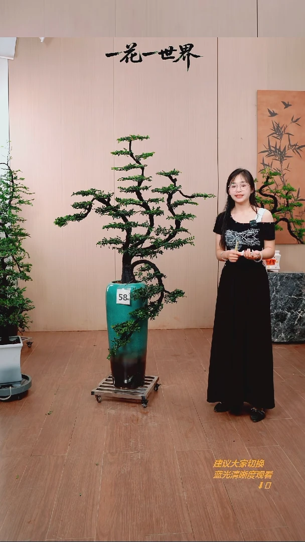 无花朵绿**林【闪购链接】58号链接