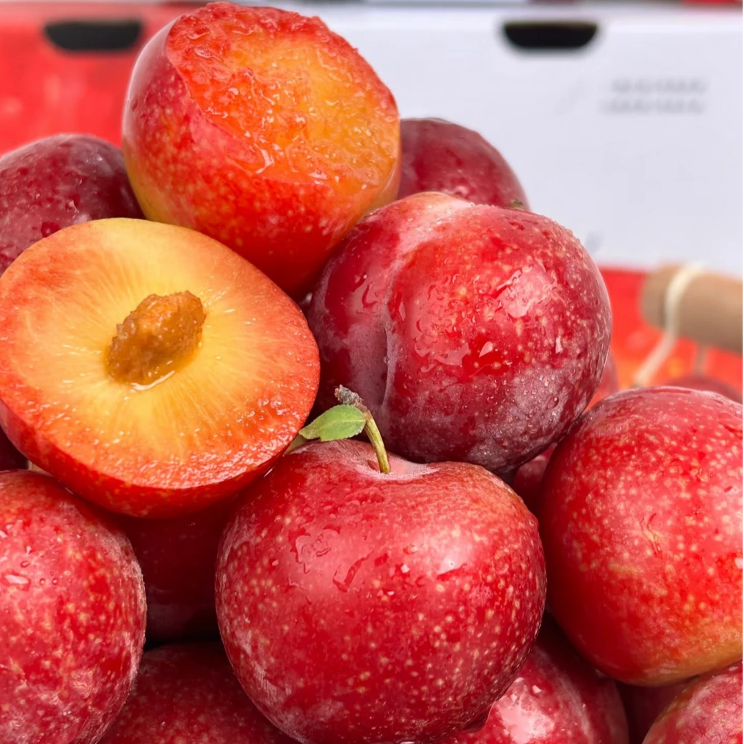 【顺丰包邮】智利海运樱桃李脆甜多汁2/4斤装
